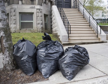 Debris removal and disposal process